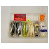 Assorted Plastic Worm Bait