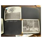 Old photos