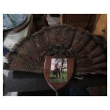 Turkey Feathers / Wall Plaque / Trophy