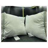2 18x18in accent pillows