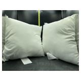 2 18x18in accent pillows