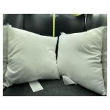 2 18x18in accent pillows