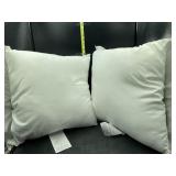 2 18x18in accent pillows