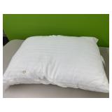 Standard pillow - used