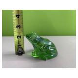 Glass frog
