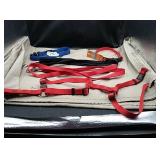 2 pet collars, 2 leash and a harness. Harness