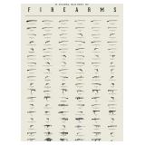 New Alex Fernbach Gun Poster - A Visual History of