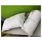 2 pillows - 1 new, 1 used - 20x36in