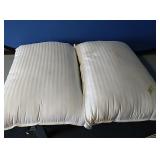 2 queen size gel pillows...appear to have been