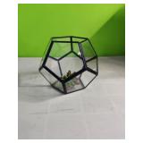 Small Terrarium 7" Tall x 8"