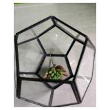 Small Terrarium 7" Tall x 8"