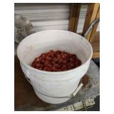 Half Bucket of Grip Rite Nails with Washers