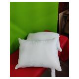2 Bed Pillows