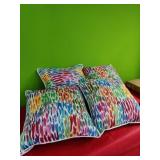 4 "Fun" Throw Pillows