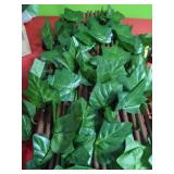 New Solar Lit Expandable Faux Privacy Fence