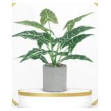 Fake Plants Artificial Potted Plastic 16" Small