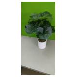 New 21"SILK PLANT in Planter