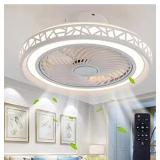 Ceiling Fan with Lights Remote Control, 20"