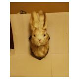 Jackalope mount wall decoration  for Home/ office