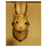 Jackalope mount wall decoration  for home/