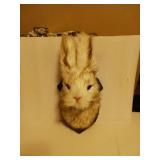 Jackalope mount wall decoration for Home/ office