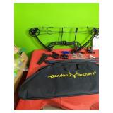 New PANDARUS Compound Bow Archery for Youth and