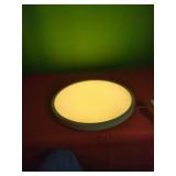 Brand New 16" Light Dimmable, also Has Back