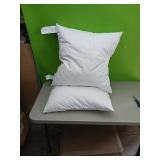 (2) BASIC HOME PILLOWS
