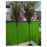 2 Artificial Olive Trees   Approx 4