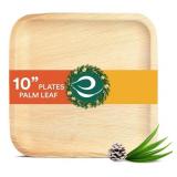 NEW 25ct 10" Square Palm Leaf Plates, 100%