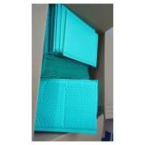 100  6" x 10" Teal Bubble Mailers