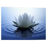 New White Lotus Wall Art Canvas Pictures Print