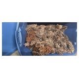 Pine Cones in Tote