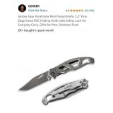 Gerber Gear Paraframe Mini Pocket Knife, 2.2"