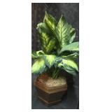 Nearly Natural Golden Dieffenbachia with Wood