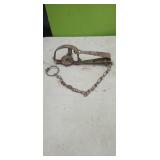 Vintage Steel Trap