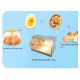 Brooder Box for Newborns Chicks Ducks Quail Birds