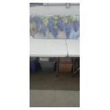 (New) 20" x 48"  Grape Print on Canvas.