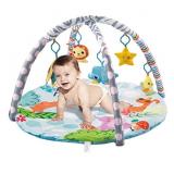 NEW Baby Play Gym