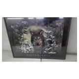 Large Silver Wolf Picture