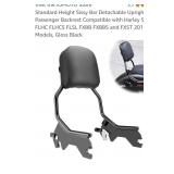 Standard Height Sissy Bar Detachable Upright