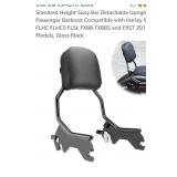 New- Standard Height Sissy Bar Detachable Upright