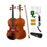 New Violin 4/4 Full Size Kit, Fiddle Set for