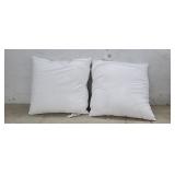 Set of 2 - 16" x 16" Throw Pillow Inserts,