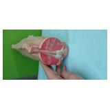 (120) 2004 Camel Cigarettes Coasters