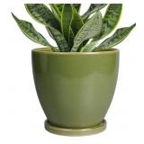 New Ceramic Planters for Indoor Plants - 6 Inch