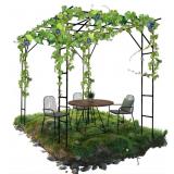 ***Read *"*. Grape Trellis - Size: 118 * 78.5 *
