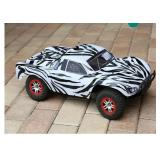 2 New SummitLink Compatible Custom Body Zebra