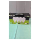 4Pk   100 Watt LED Light Bulbs