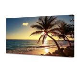 New  Wall Art Decor Large Canvas Print Picture